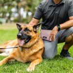 KATOZOO Waterproof Dog Treat Pouch with Clip