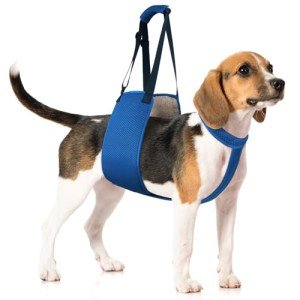 Adjustable Dog Lift Harness for Weak Legs