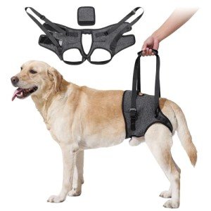 Dog Sling for Large Dogs - Hind Leg Support