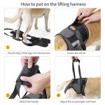 Dog Sling for Large Dogs - Hind Leg Support
