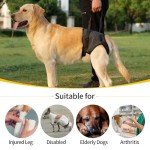 Dog Sling for Large Dogs - Hind Leg Support