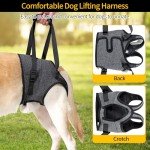 Dog Sling for Large Dogs - Hind Leg Support
