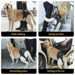 Dog Sling for Large Dogs - Hind Leg Support