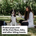 Cedarcide Tickshield Kit for Pets and People