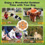 Tivray Heavy Duty 360° Dog Tie Out Stake