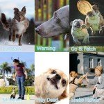 2-Pack Adjustable Dog Training Whistles