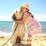 2-Pack Adjustable Dog Training Whistles