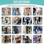 Lukovee Easy-Fit Dog Backpack Carrier for Hiking