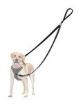 PetBonus Adjustable No-Pull Dog Leash for Training