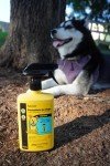 Sawyer Permethrin Insect Repellent for Dogs