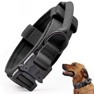 Adjustable Tactical Dog Collar with Handle, Black