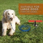 Heavy Duty 30FT Dog Tie Out Cable & Stake