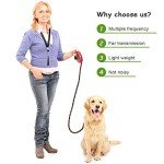 5 Pack Dog Whistles for Training and Recall