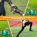 Dog Tie Out Cable and Stake with 360° Swivel