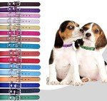 Adjustable Leather Puppy Collar Set - 12 or 16 Pack