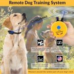 Humane Remote Dog Training Collar with Night Light