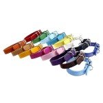 Adjustable Leather Puppy Collar Set - 12 or 16 Pack
