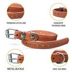 Adjustable Leather Puppy Collar Set - 12 or 16 Pack