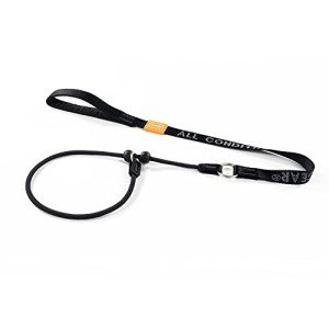 HOWGO Heavy Duty No-Pull Dog Slip Lead