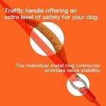 HOWGO Heavy Duty No-Pull Dog Slip Lead