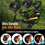 30ft Dog Leash for Training and Recall