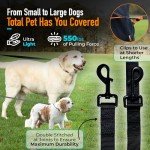 30ft Dog Leash for Training and Recall