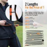 30ft Dog Leash for Training and Recall