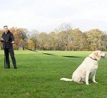 30ft Dog Leash for Training and Recall