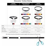 Adjustable Waterproof Bungee Dog Collar - Black