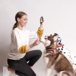 2-Pack Dog Training Clickers with Wrist Strap