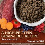 Taste of the Wild High Prairie Grain-Free Dog Food