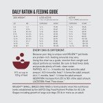 ORIJEN Grain-Free Dry Dog Food for Small Breeds