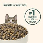 Rachael Ray Nutrish Indoor Chicken & Salmon Cat Food 14 lb