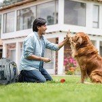 10-Pack Colorful Pet Training Clickers with Straps