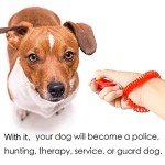 10-Pack Colorful Pet Training Clickers with Straps