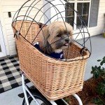 Natural Wicker Dog Bike Basket with Cushion