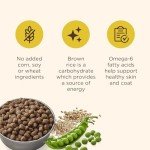 Rachael Ray Nutrish Lamb & Rice Dry Dog Food