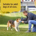 Rachael Ray Nutrish Lamb & Rice Dry Dog Food