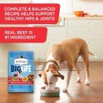 Rachael Ray Nutrish Big Life Dog Food 40 lbs