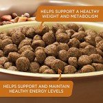 Rachael Ray Nutrish Turkey & Brown Rice Dog Food