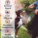 Colorful Dog Clickers with Wrist Bands - 4 Pack