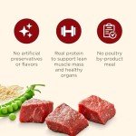 Real Beef & Brown Rice Dry Dog Food, 40 lb