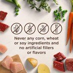 Rachael Ray Nutrish Hearty Wet Dog Food Variety Pack