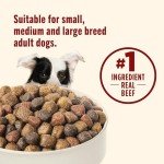 Real Beef & Brown Rice Dry Dog Food, 40 lb