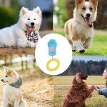 Sky Blue Dog Training Clicker – 2 Pack Set