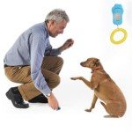 Sky Blue Dog Training Clicker – 2 Pack Set