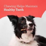DreamBone Twist Sticks Chews for Healthy Dogs