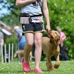 STMK Dog Training Treat Pouch and Clicker Set