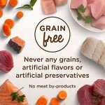 Rachael Ray Wet Cat Food Variety Pack, 24 Cups