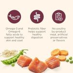 Nutrish Salmon & Veggies Dry Dog Food, 5.5 lb